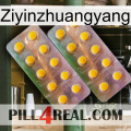 Ziyinzhuangyang new10